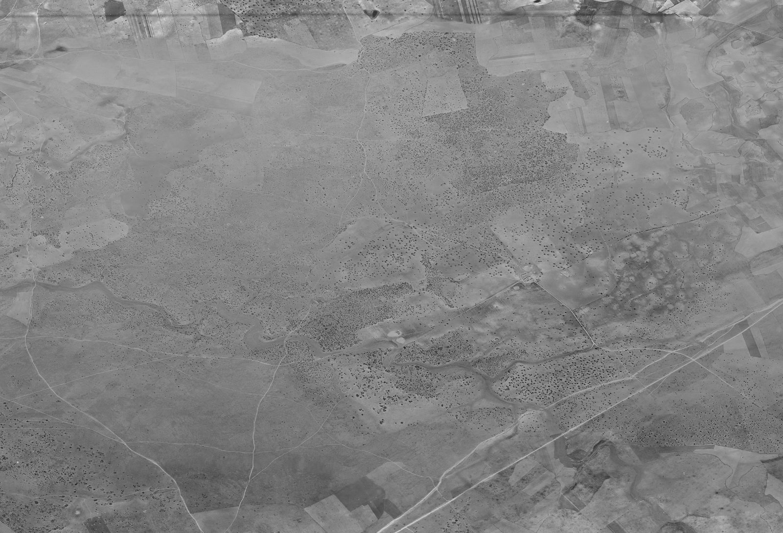 1956 · foto aérea histórica
